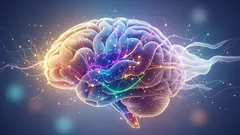 Vědci objevili pět "věků" lidského mozku: nemění se plynule, ale skokově.